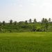 2005_indonesiatrip_336_2